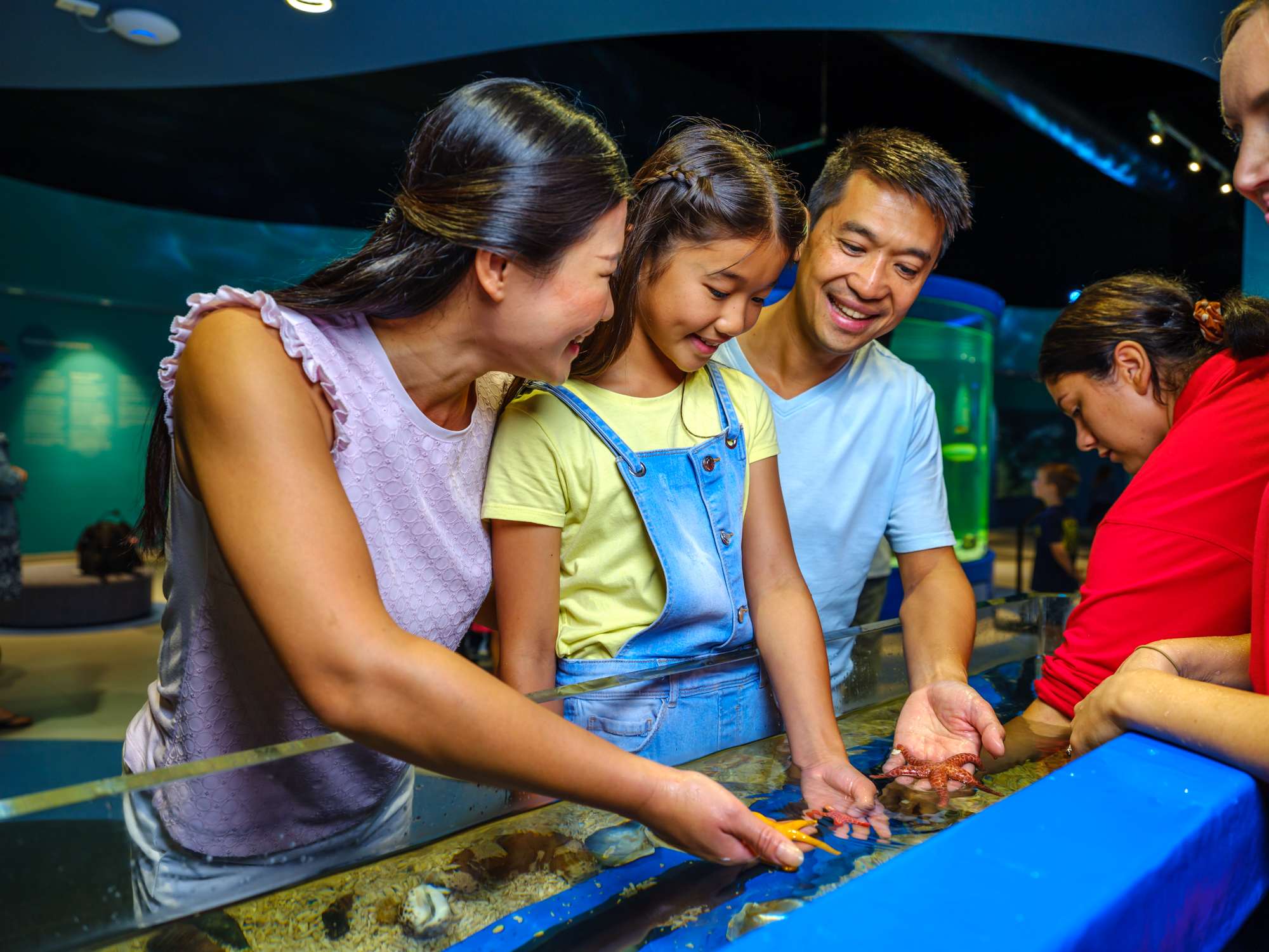 Discovery & Interpretive Centre