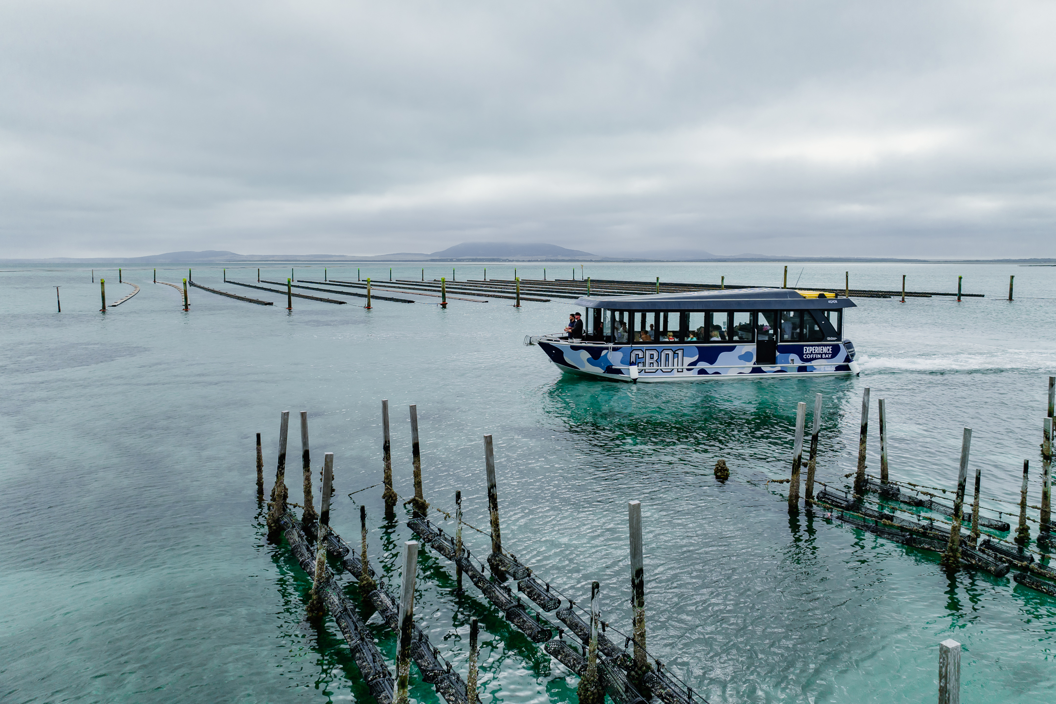 Premium Oyster Season Winter Tour Inc Wading - No Oysters