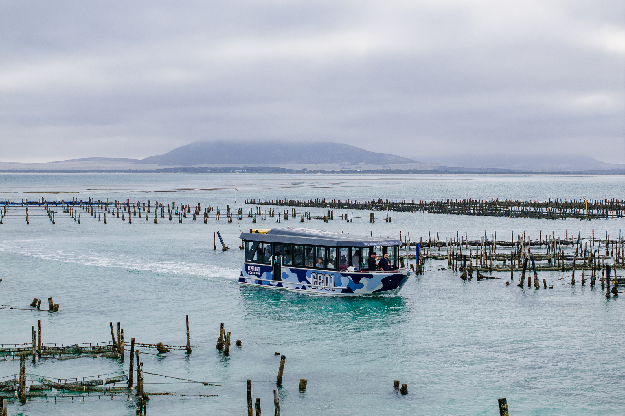 Premium Oyster Season Winter Tour Inc Wading - No Oysters