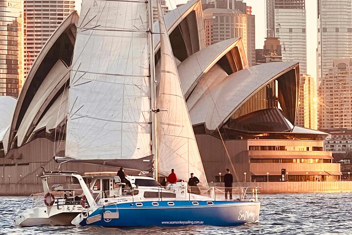 Sydney Whale Watching and Catamaran Sailing Private Half Day Tour