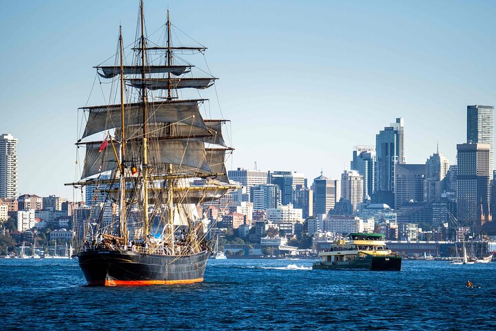 Sydney Whale Watching and Catamaran Sailing Private Half Day Tour