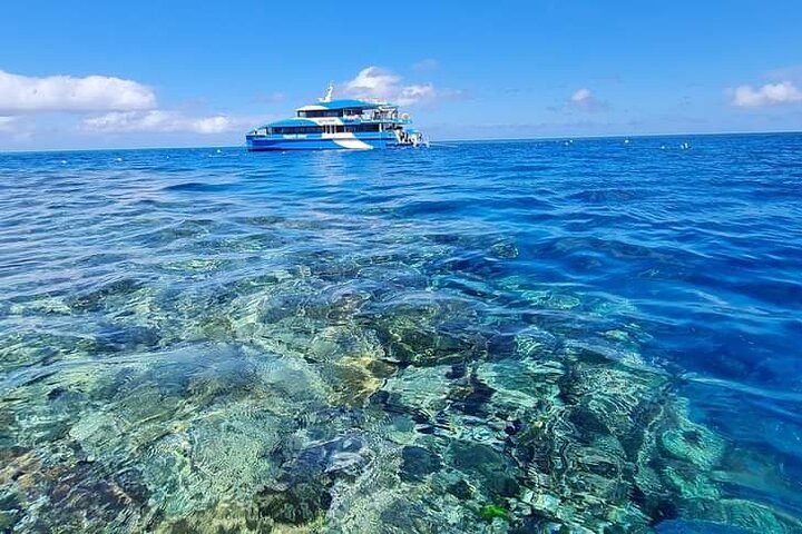 Great Barrier Reef and MOUA Snorkeling Day Tour from Townsville