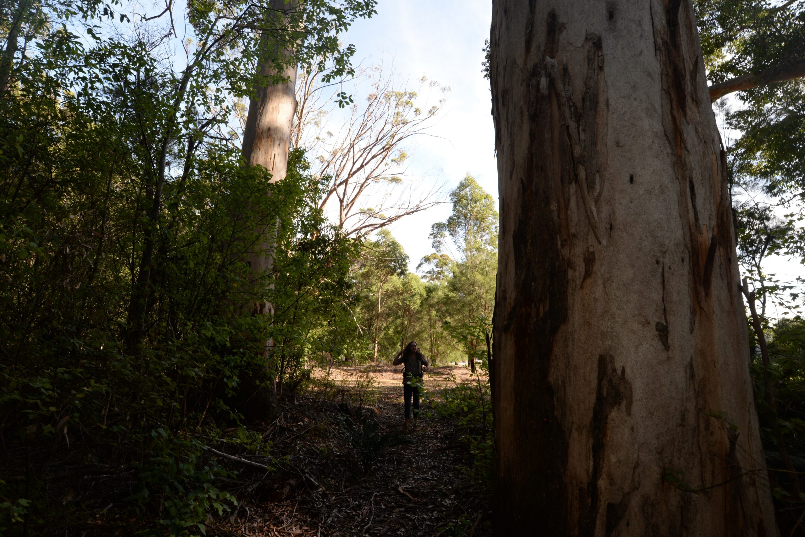 Pemberton Trail Adventures