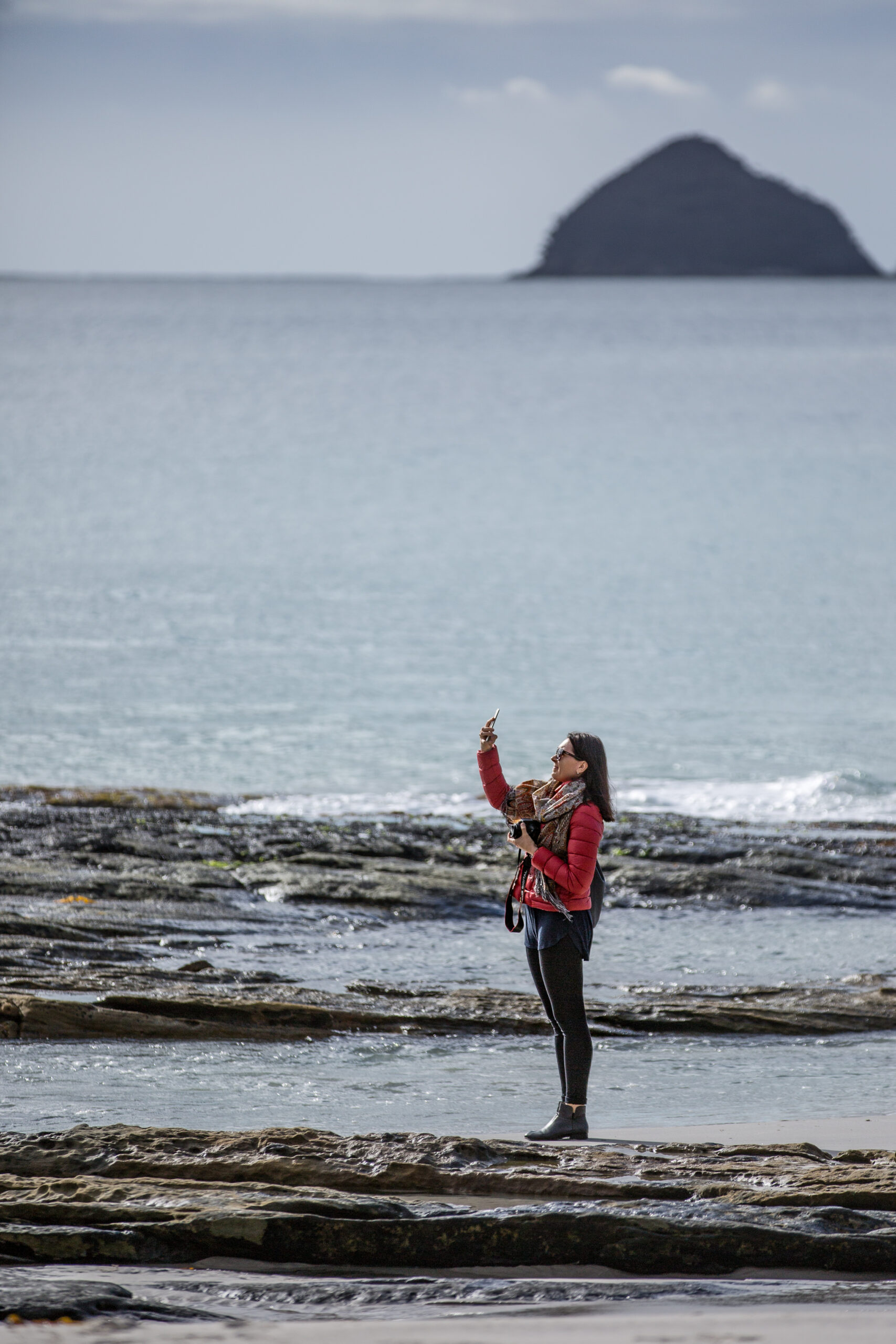 Premium Bruny Island Safaris Foods, Winery Lunch, Attractions and Cape Bruny Lighthouse Tour (Single course lunch)