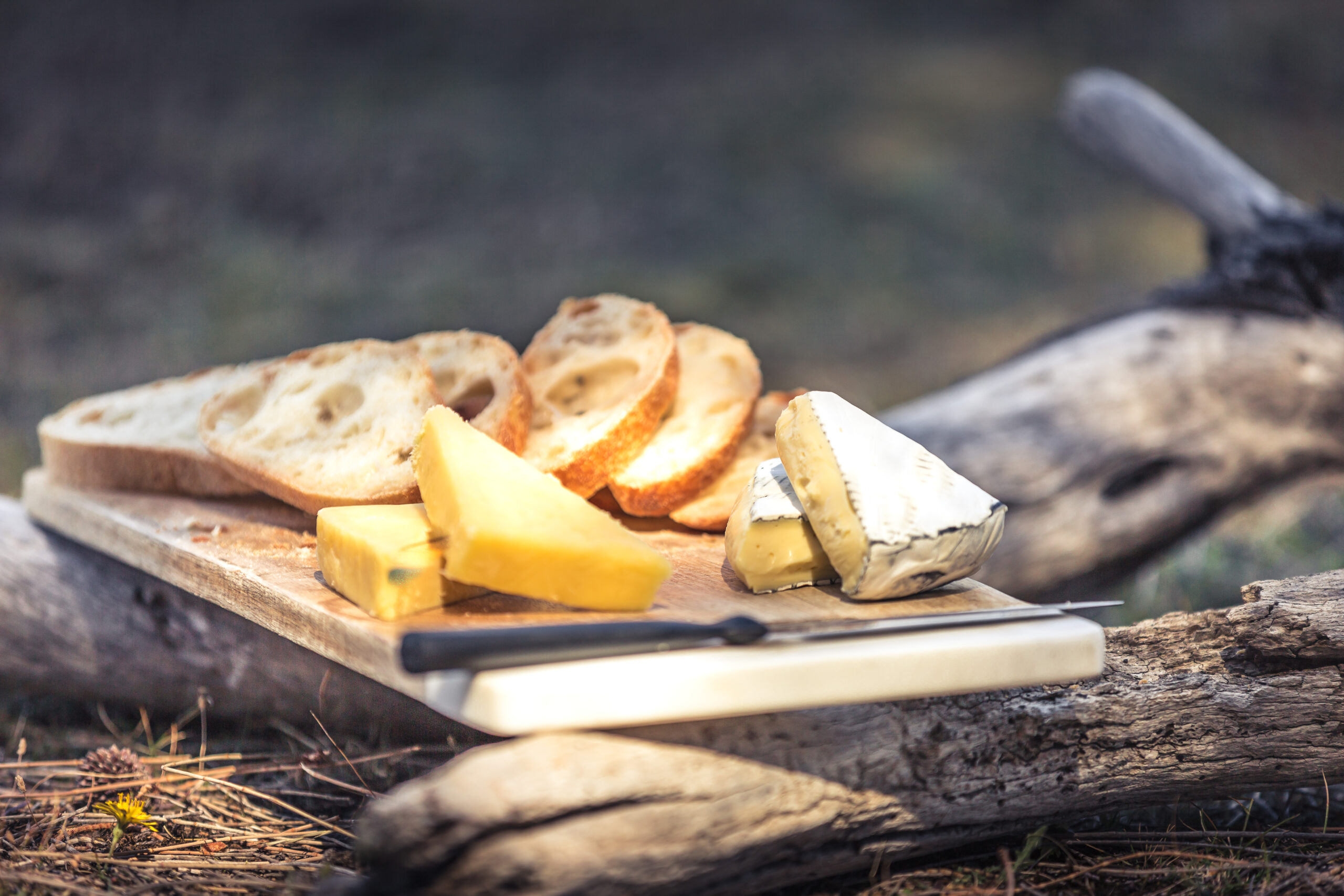 Premium Bruny Island Safaris Foods, Winery Lunch, Attractions and Cape Bruny Lighthouse Tour (Single course lunch)