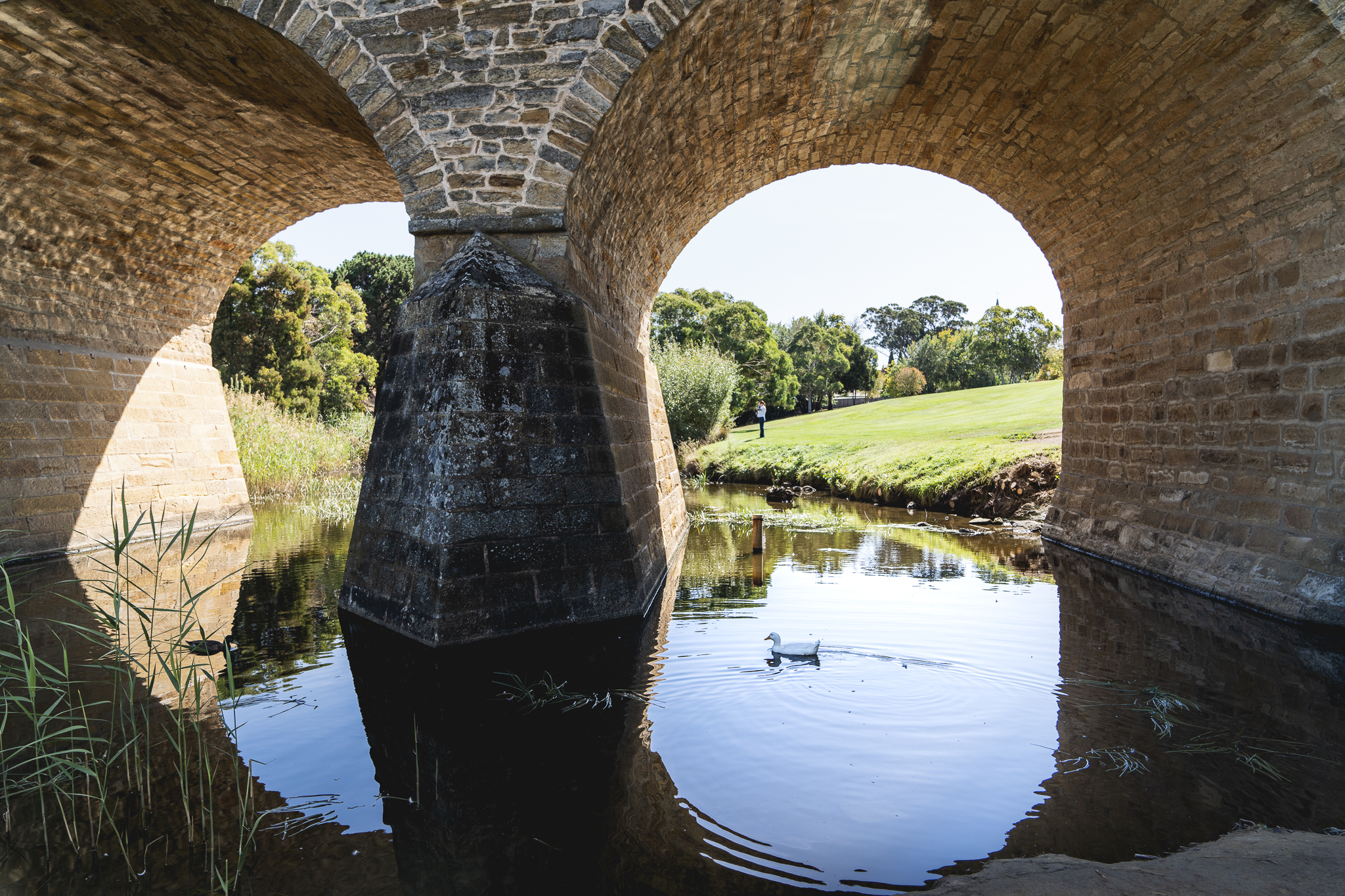 Coal Valley Wine and Gin Safaris departs Hobart, includes 2 Course Winery Lunch, Gin, Wine and Cheese Tastings, Mt Wellington & Richmond Village