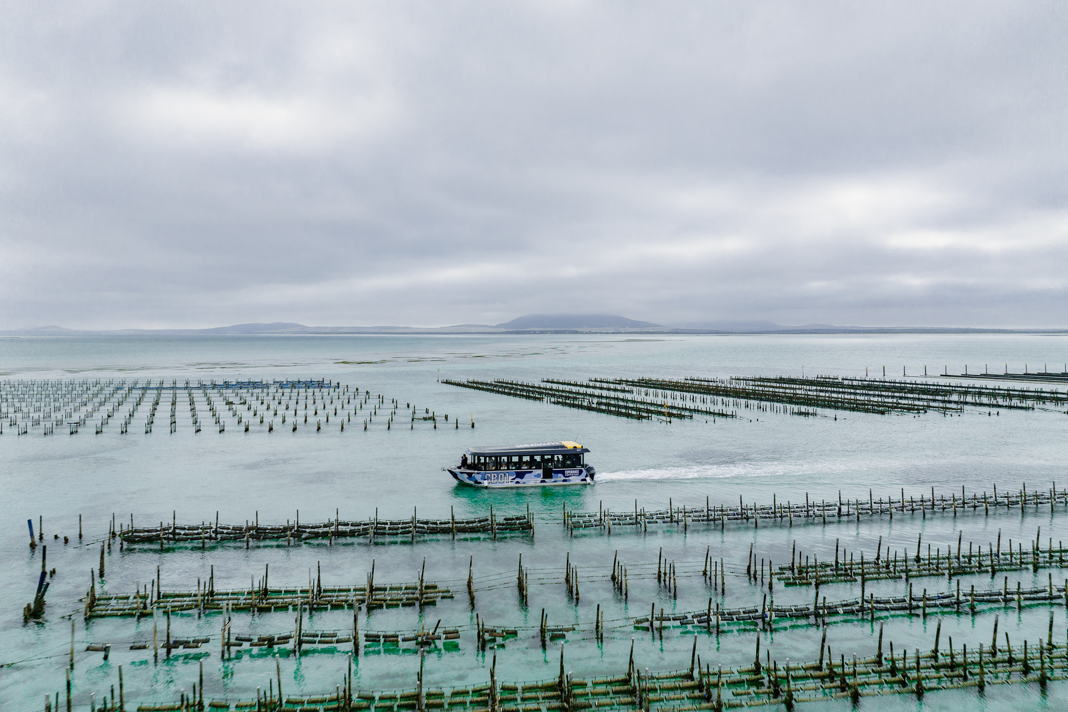 Premium Oyster Season Winter Tour Inc Wading - No Oysters