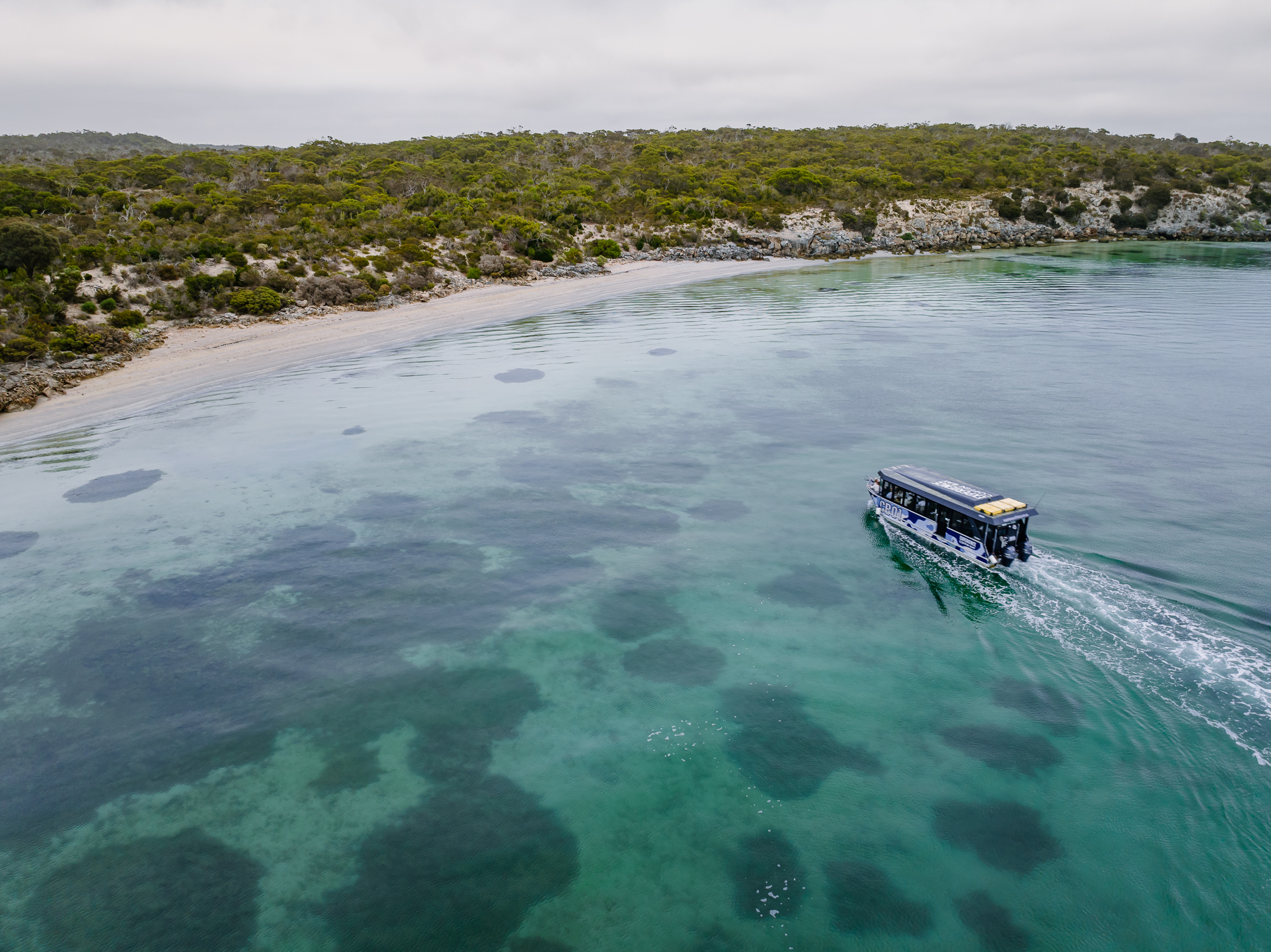 Premium Oyster Season Winter Tour Inc Wading – No Oysters