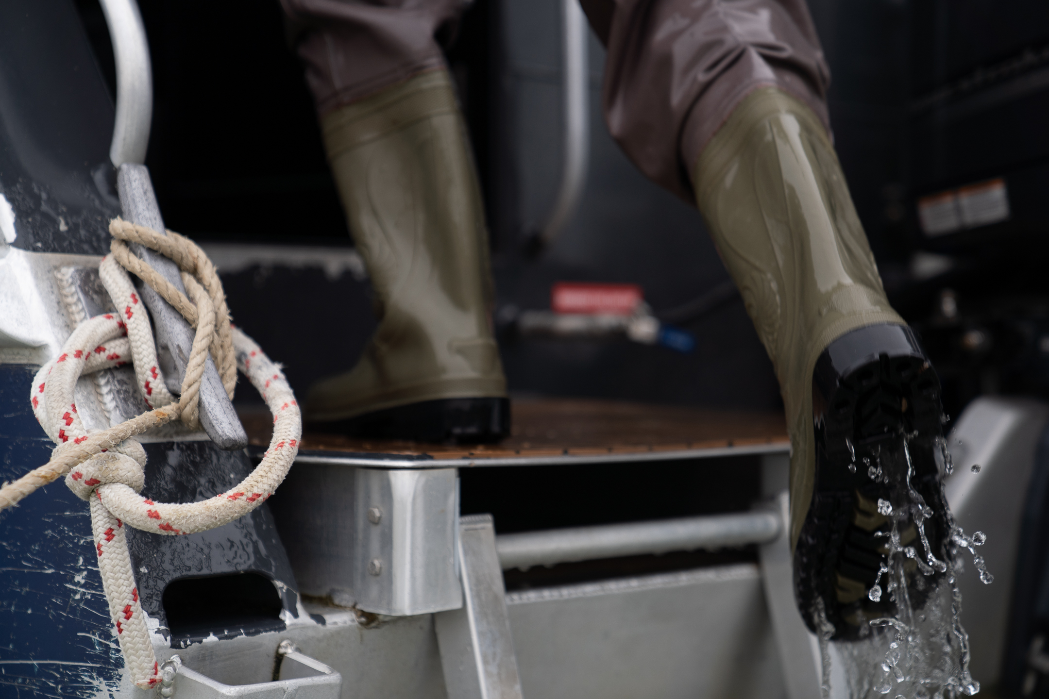 Premium Oyster Season Winter Tour Inc Wading - No Oysters