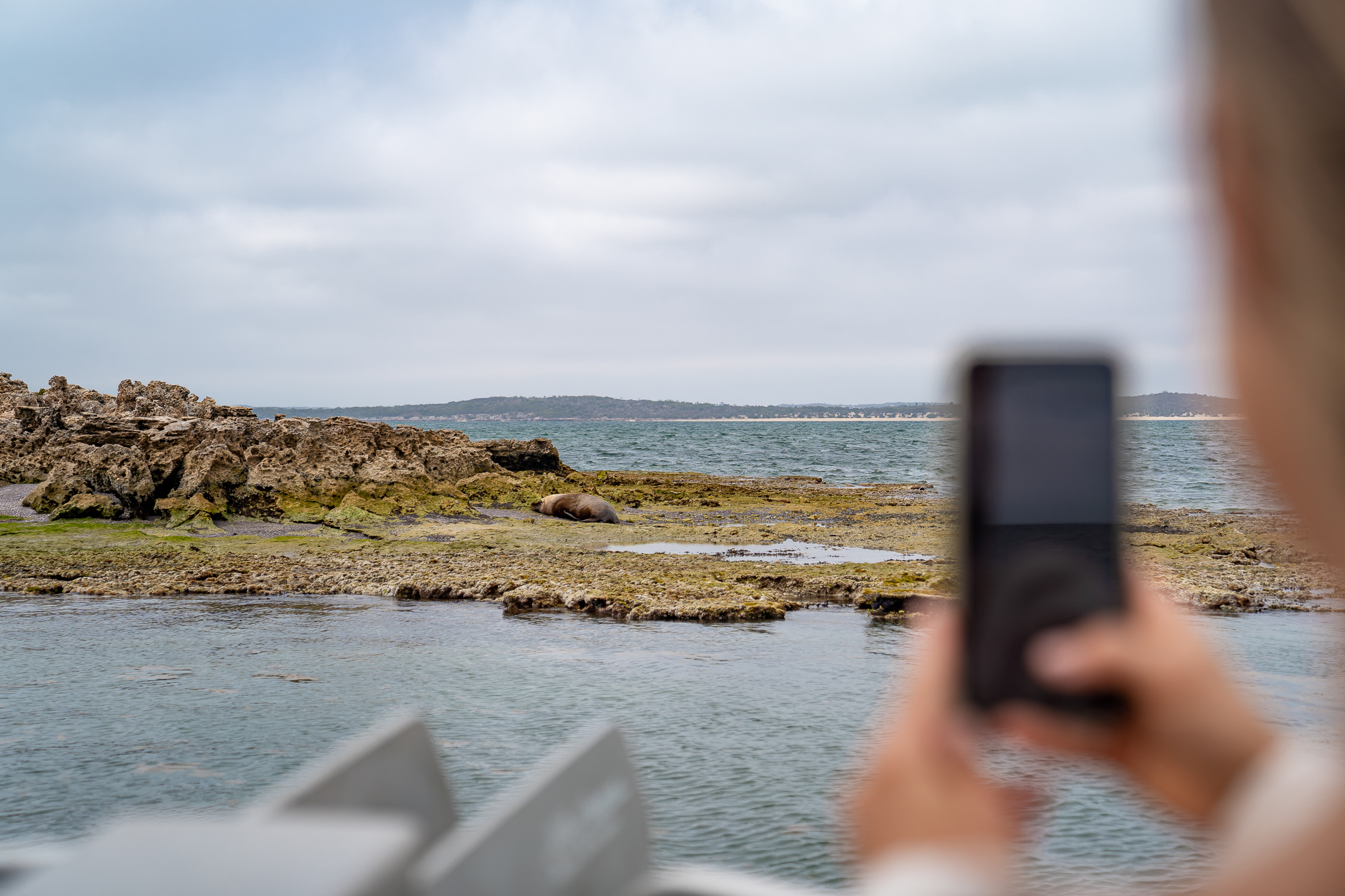 Premium Oyster Season Winter Tour Inc Wading - No Oysters