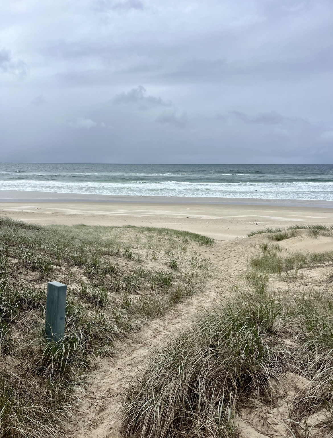 Surfers Paradise with Tour to Tipplers on South Stradbroke Island