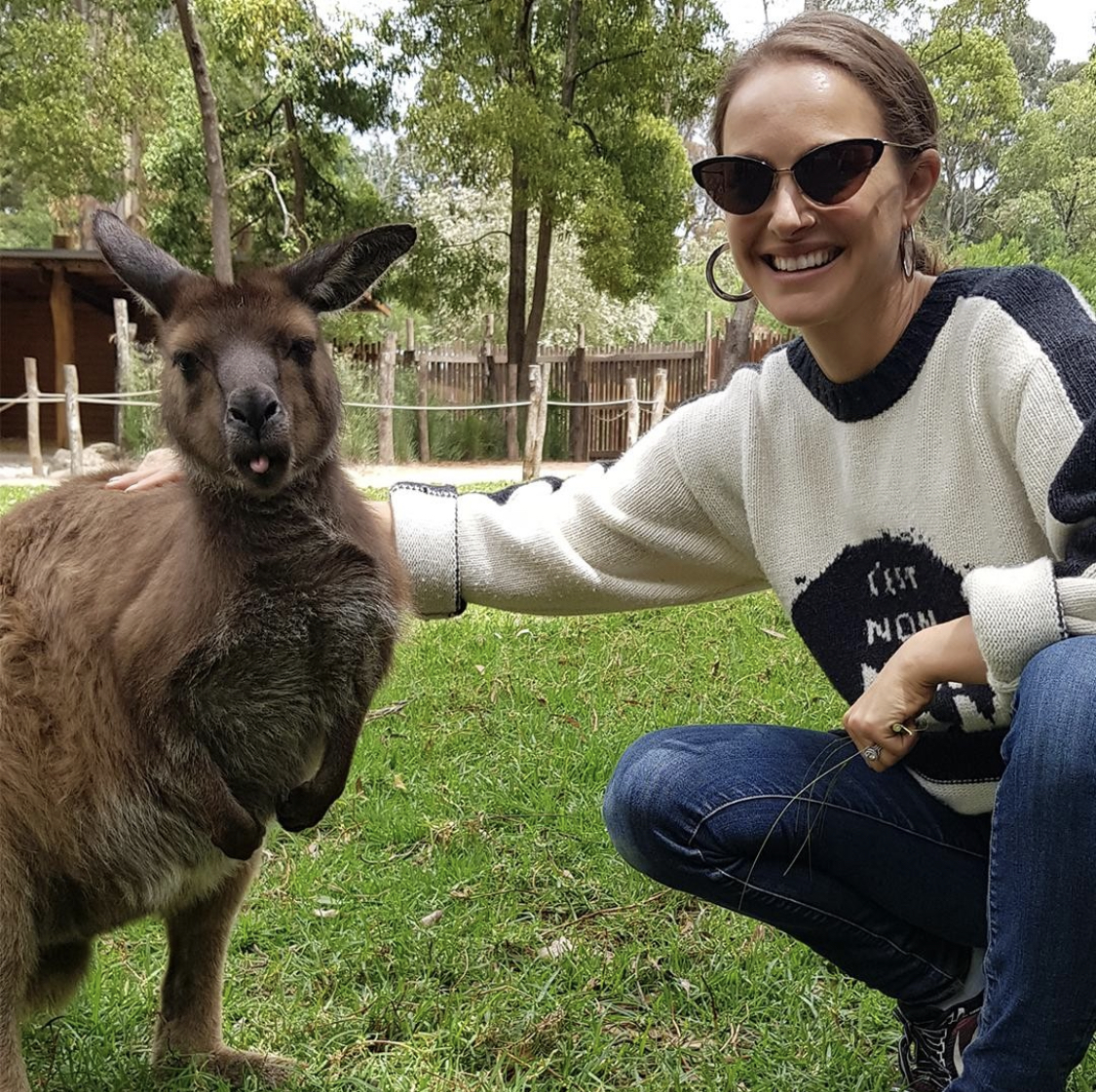 Yarra Valley Fruit Picking tour with Wildlife or Wineries