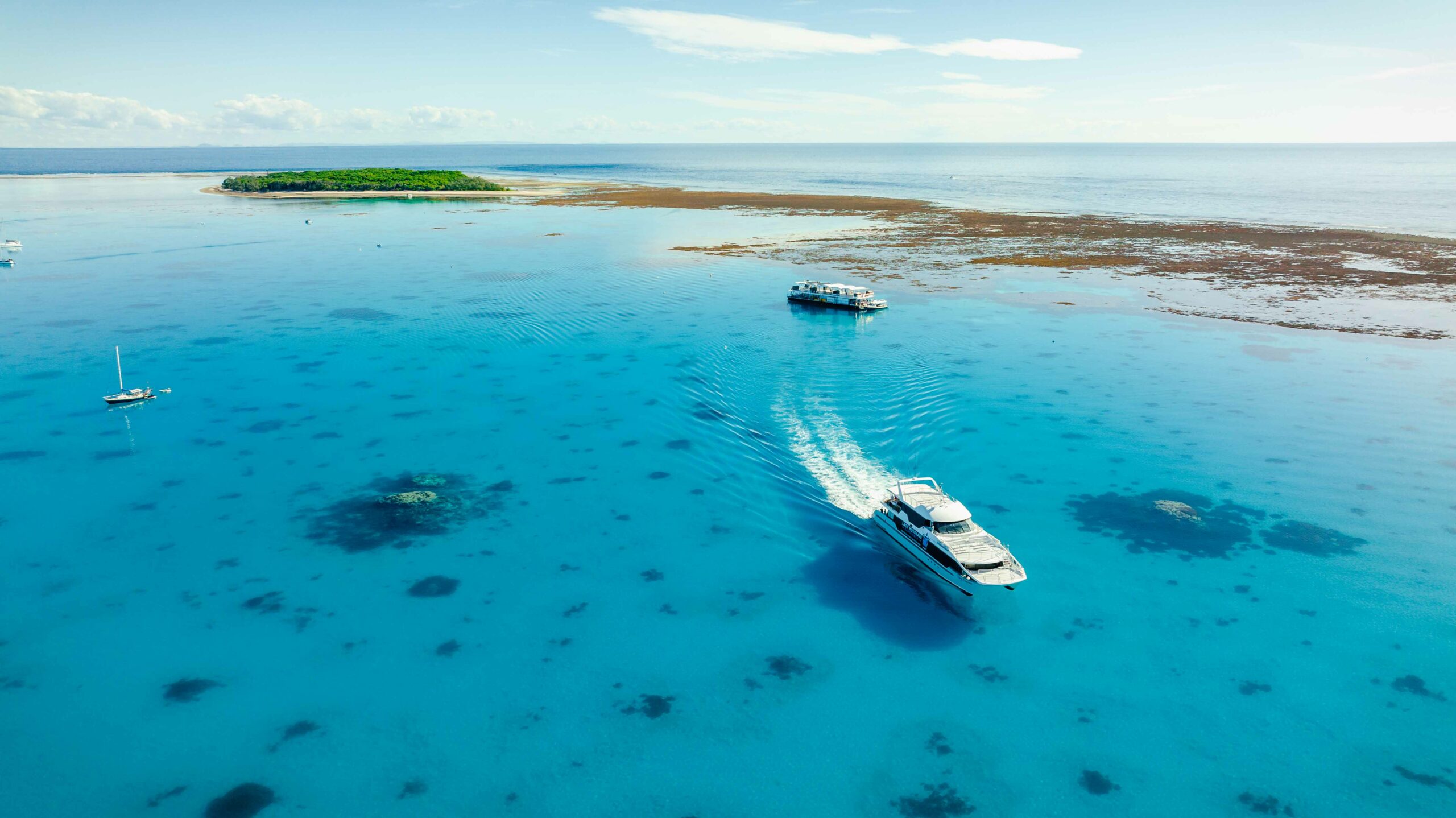 Lady Musgrave Experience Southern Great Barrier Reef Full Day Tour - Departs Bundaberg