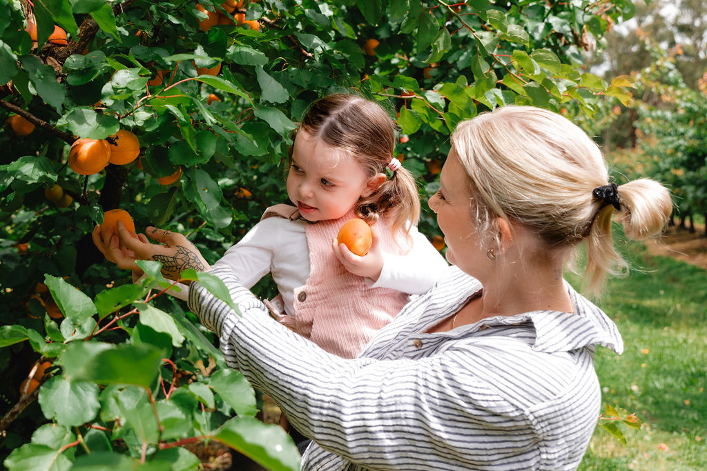 Yarra Valley Fruit Picking tour with Wildlife or Wineries