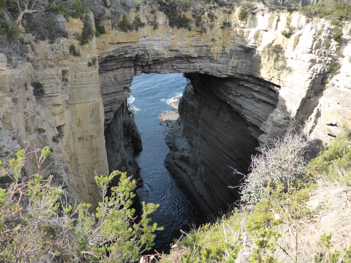 Tasman Safaris - Port Arthur, Harbour Cruise and Lunch Tour