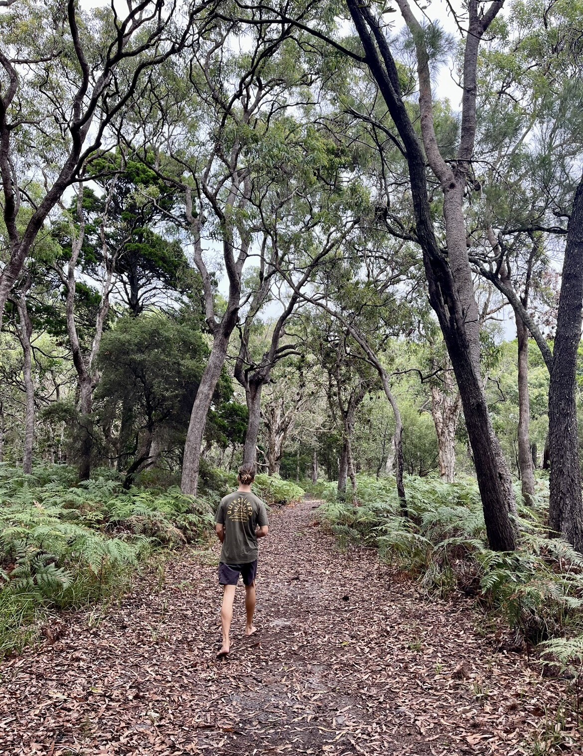 Surfers Paradise with Tour to Tipplers on South Stradbroke Island