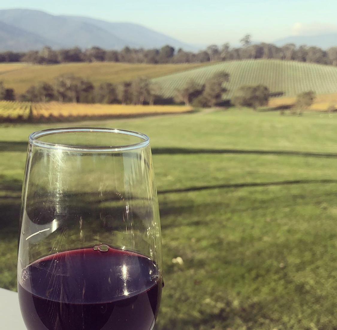 Yarra Valley Fruit Picking tour with Wildlife or Wineries