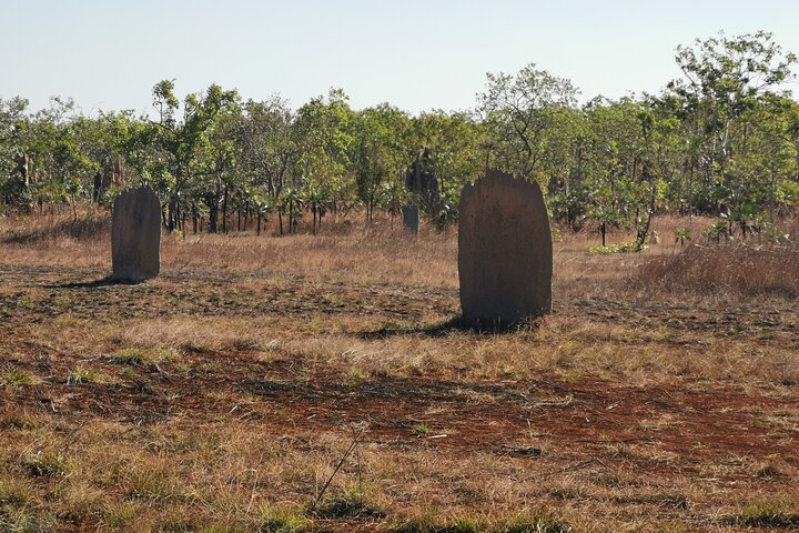 Litchfield National Park Small Group Fun Day Tour From Darwin