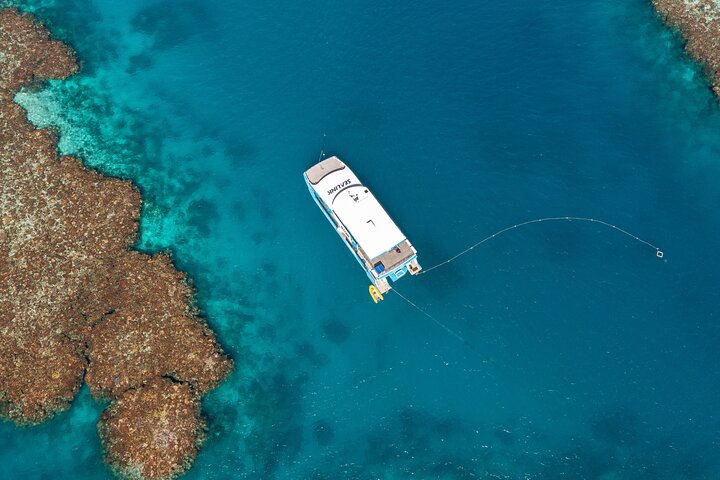 Great Barrier Reef and MOUA Snorkeling Day Tour from Townsville