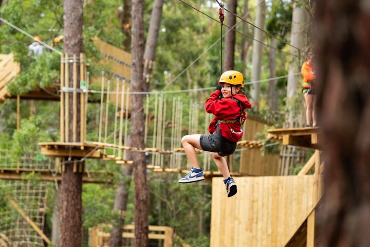 Your Little Ones Can Soar Through the Pines of Kuitpo Forest