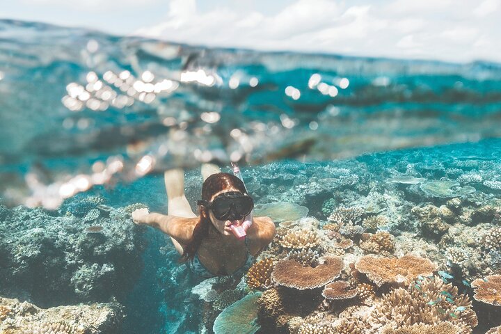 Great Barrier Reef and MOUA Snorkeling Day Tour from Townsville