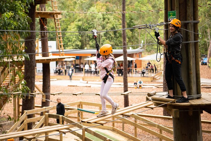 Your Little Ones Can Soar Through the Pines of Kuitpo Forest