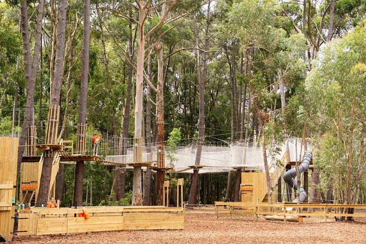 Zipline over the Heysen Trail & Through the Pines of Kuitpo