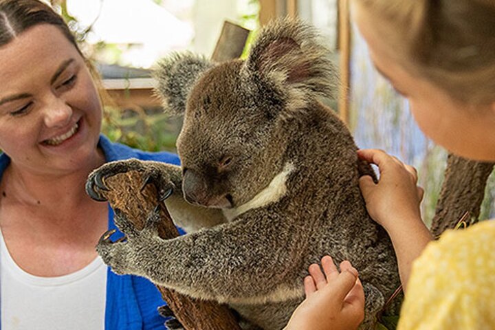 4 Days Great Barrier Reef, Kuranda, Daintree & Tablelands Cairns