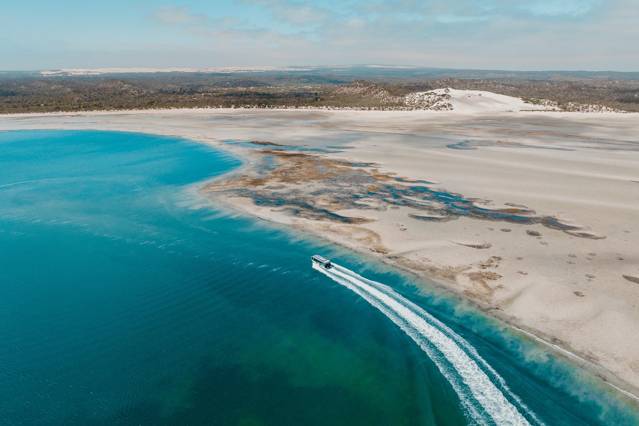 Premium Oyster Season Winter Tour Inc Wading - No Oysters