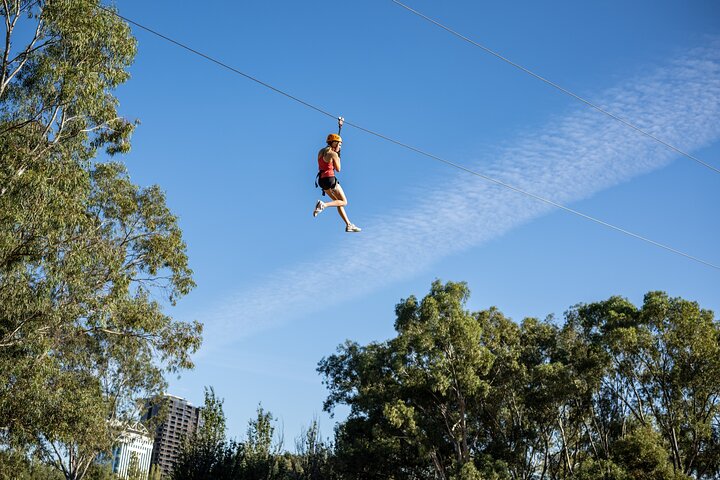 Tree Top Activity for Thrill Seekers and Adventurers in Adelaide