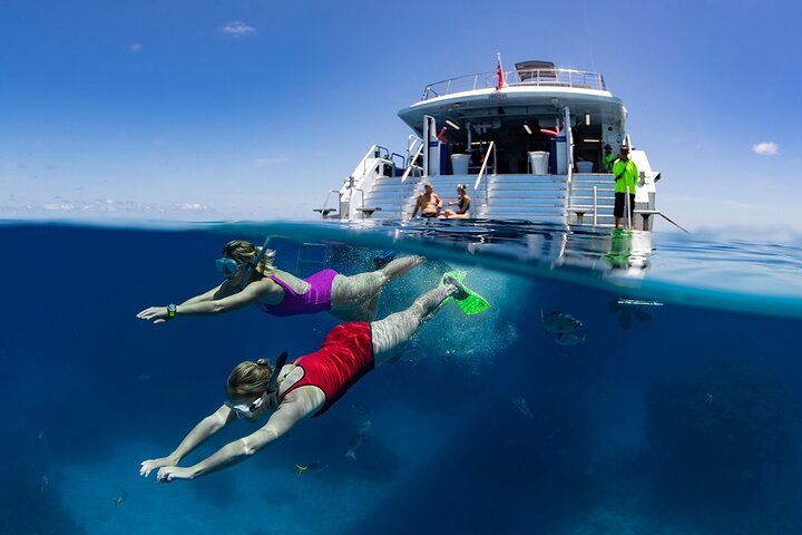 Great Barrier Reef Snorkeling Cruise from Cairns