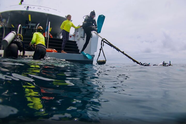 Private Guided Scuba Dive Port Douglas