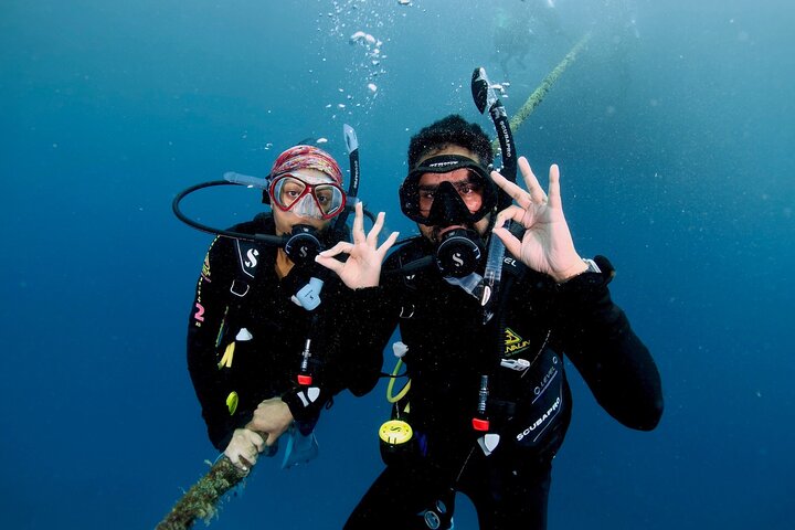 Private Guided Scuba Dive Port Douglas