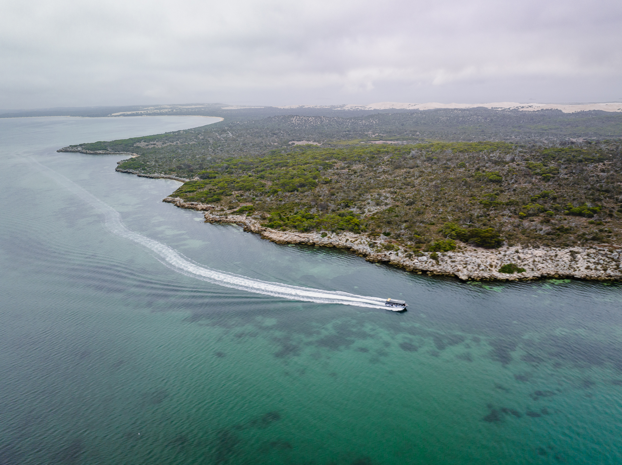 Premium Oyster Season Winter Tour Inc Wading - No Oysters