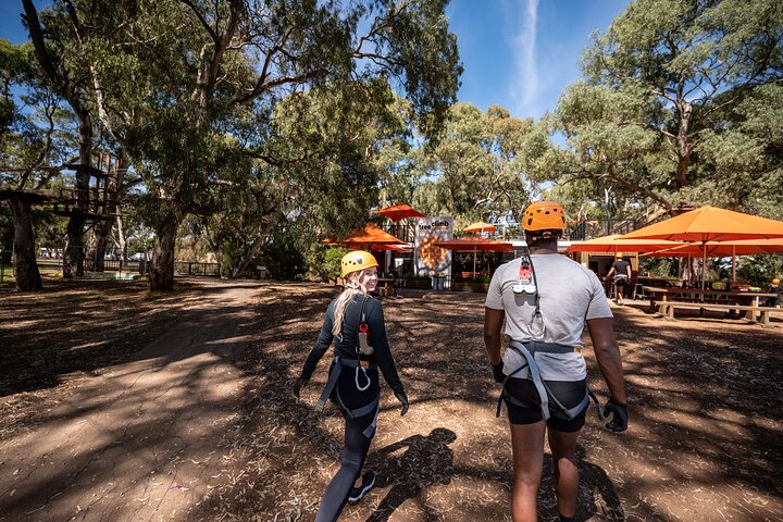 Tree Top Activity for Thrill Seekers and Adventurers in Adelaide