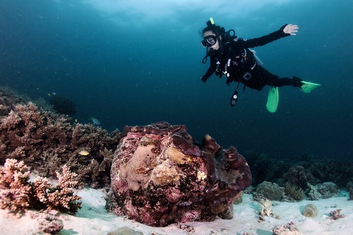 Private Guided Scuba Dive Port Douglas