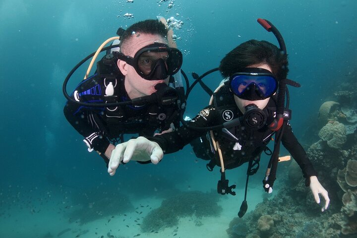 Private Guided Scuba Dive Port Douglas