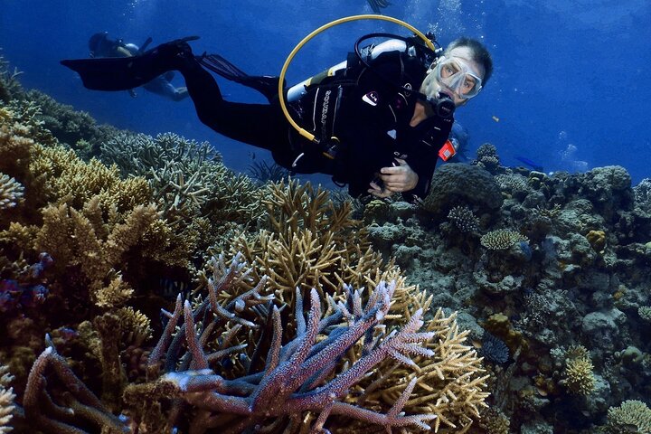 Private Guided Scuba Dive Port Douglas