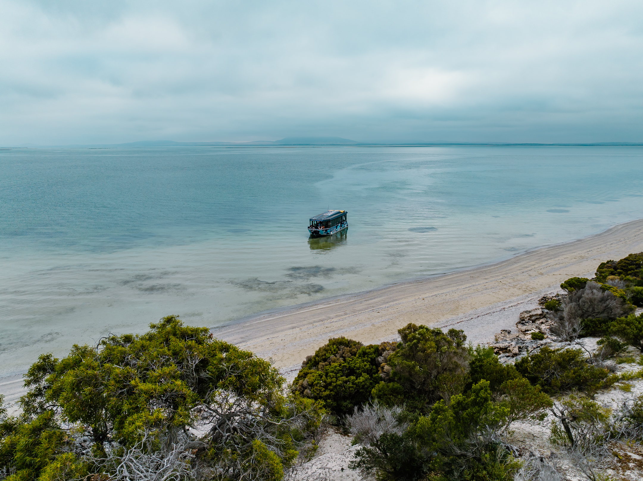 Premium Oyster Season Winter Tour Inc Wading - No Oysters