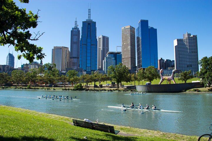 Half-Day Private Guided Introduction Tour in Melbourne
