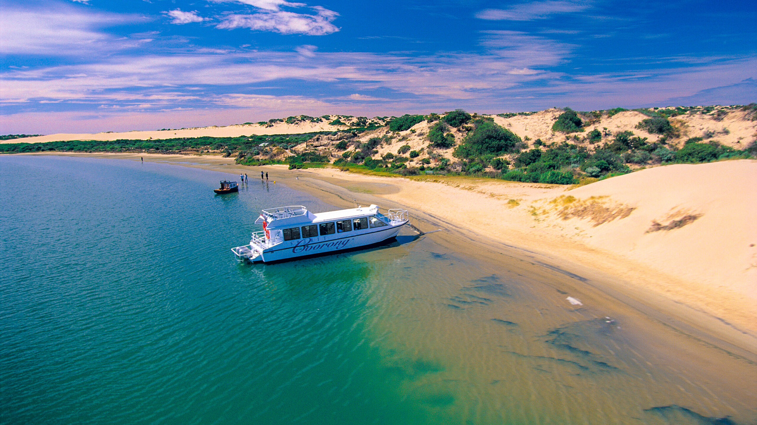 Half-Day Coorong Experience