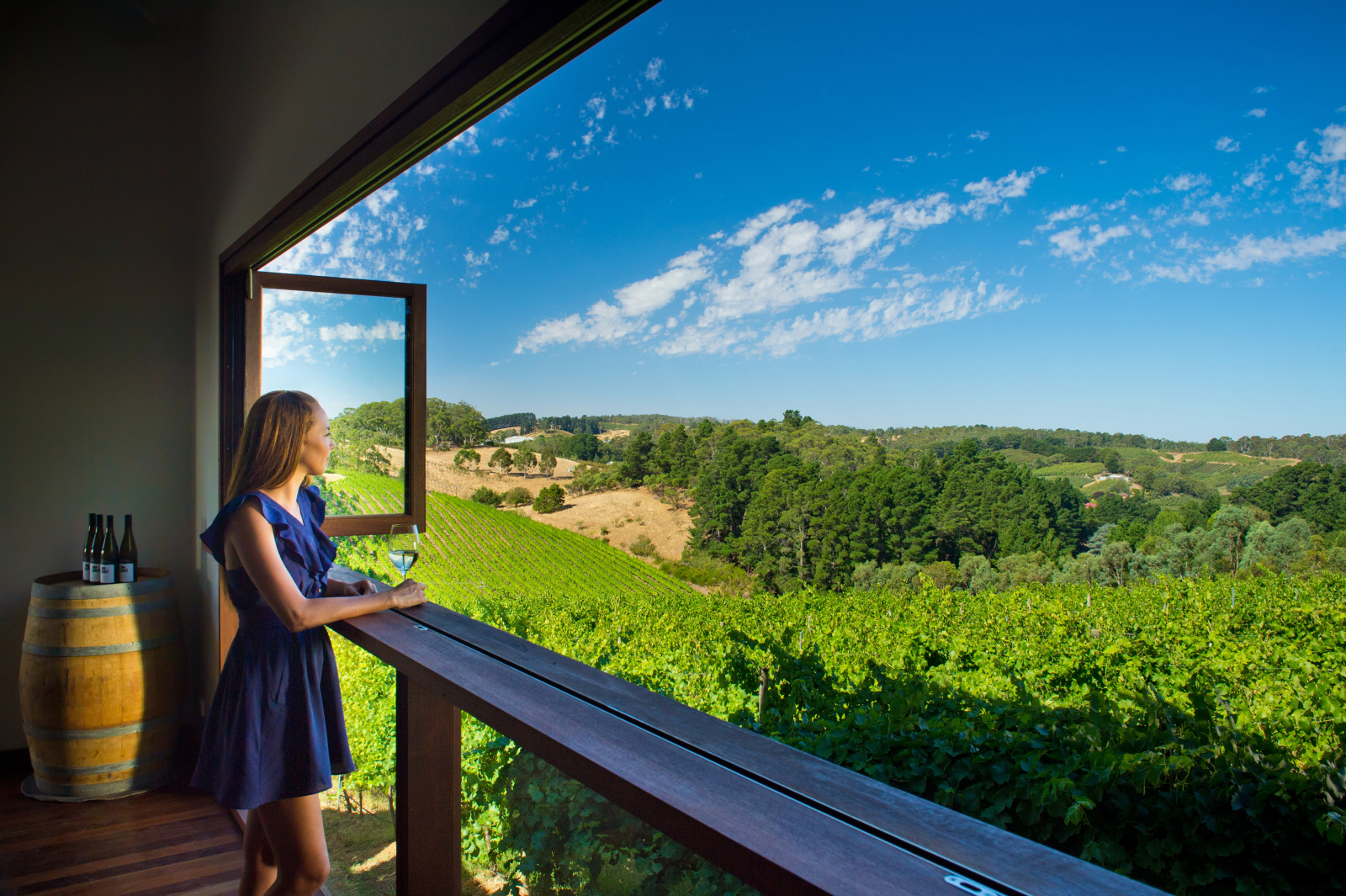 Private Wine Tours - Adelaide Hills