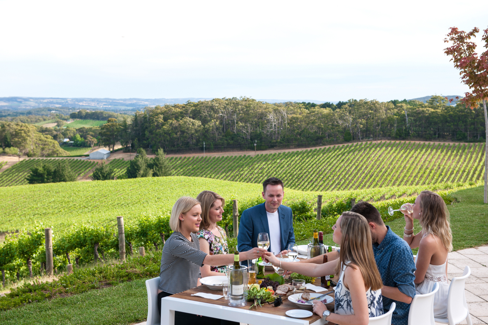 Private Wine Tours - Adelaide Hills