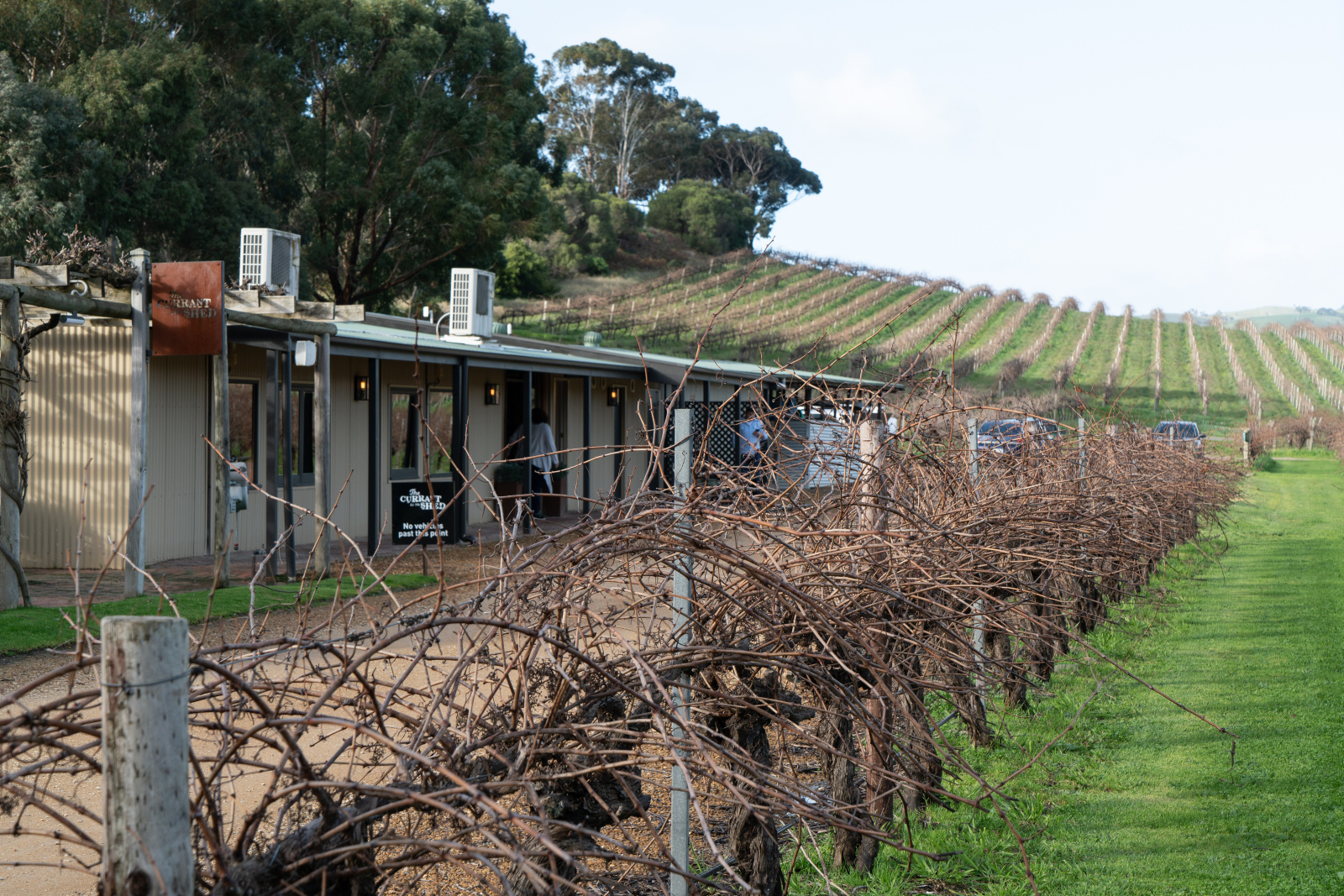 Private Wine Tours - Adelaide Hills