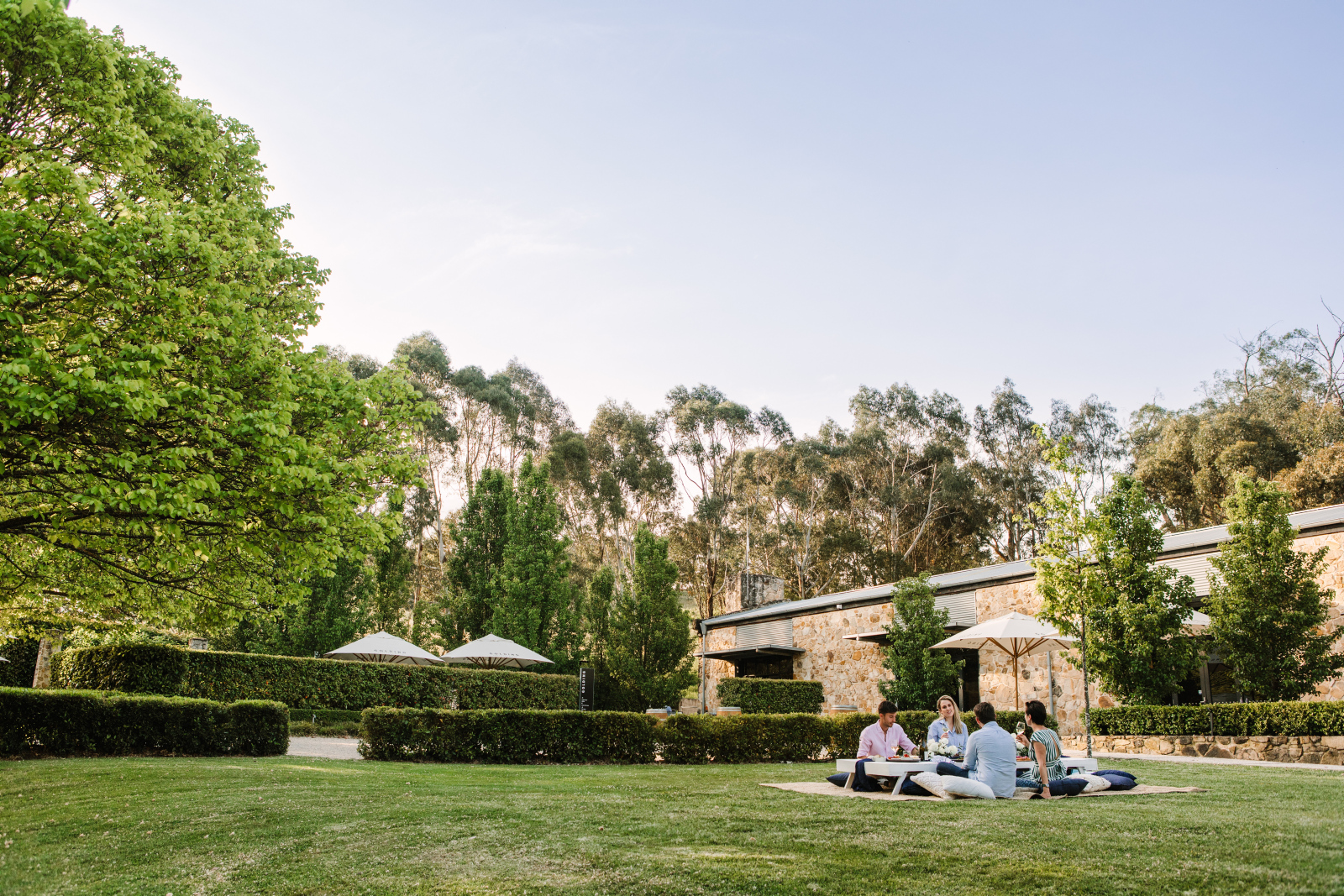 Private Wine Tours - Adelaide Hills