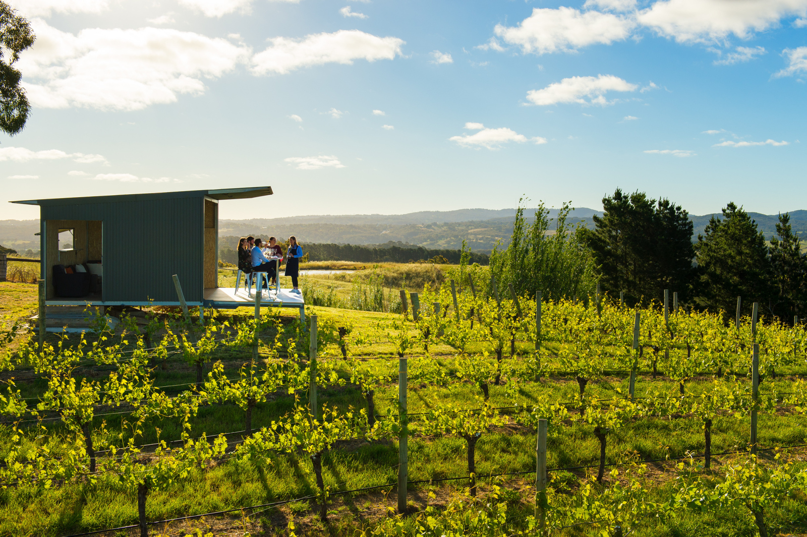 Private Wine Tours - Adelaide Hills