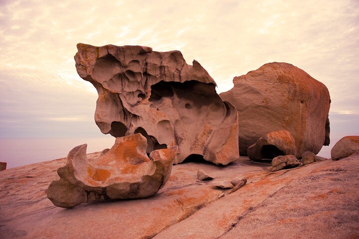 One Day Kangaroo Island Highlights Tour