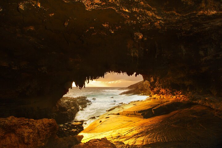 One Day Kangaroo Island Highlights Tour