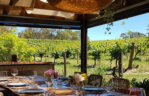 Barossa: Small Group Wine Tours with Lunch