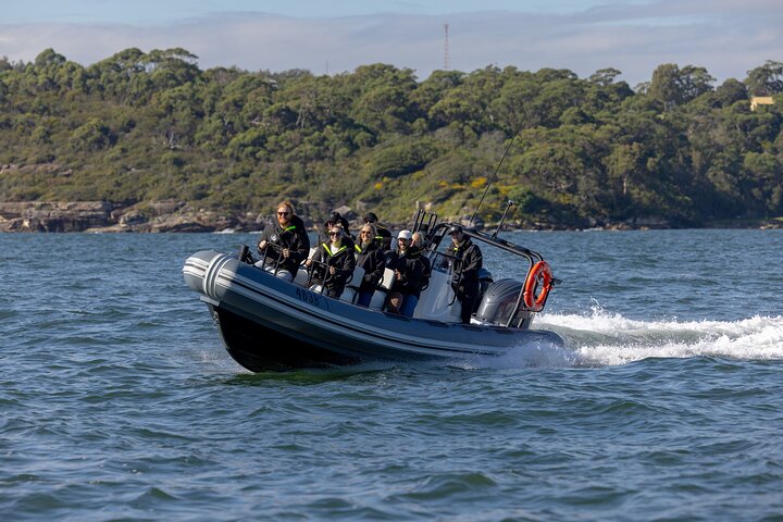 Sydney Whale Watching on Small RIB